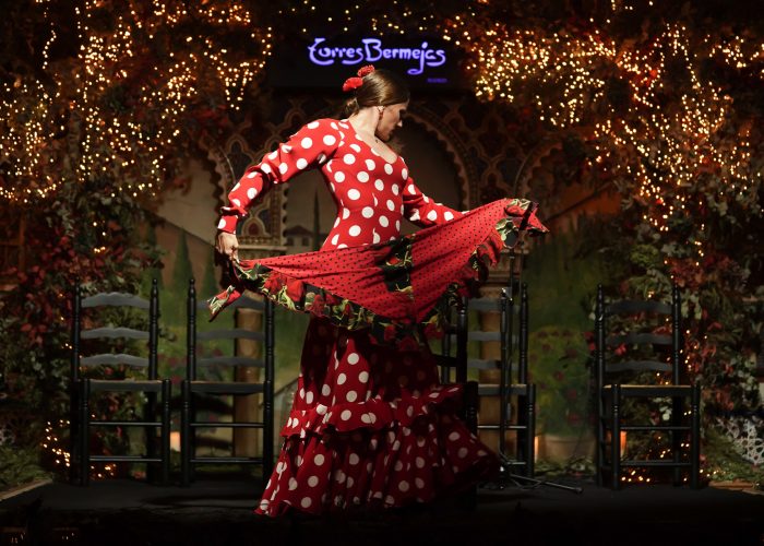 Prenota uno spettacolo di flamenco, tour madrid