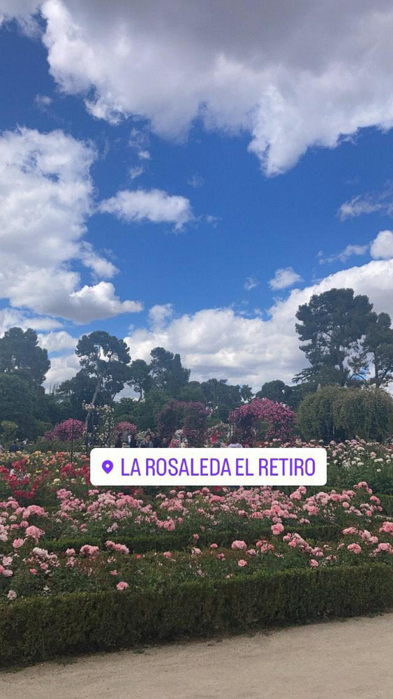 La rosaleta - Parco del Retiro