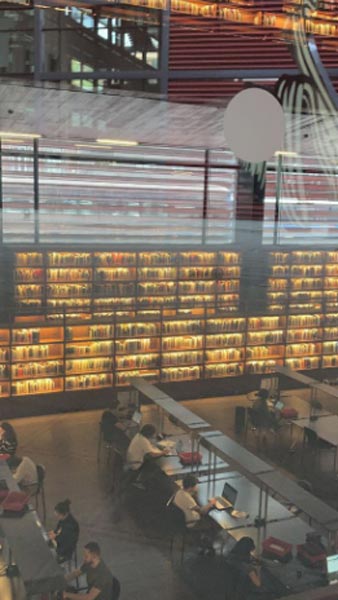 guida italiana museo Reina Sofia a Madrid