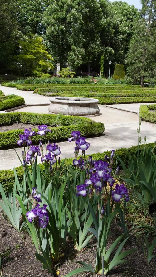 orto botanico Madrid