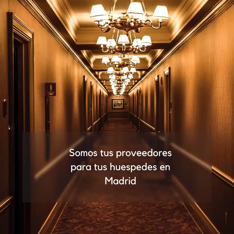 Proveedores visitas guiadas en Madrid