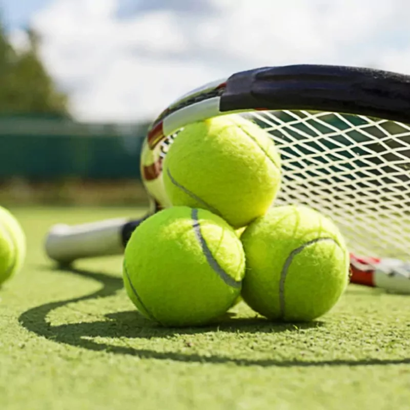 Mutua Madrid Open Tennis 2025